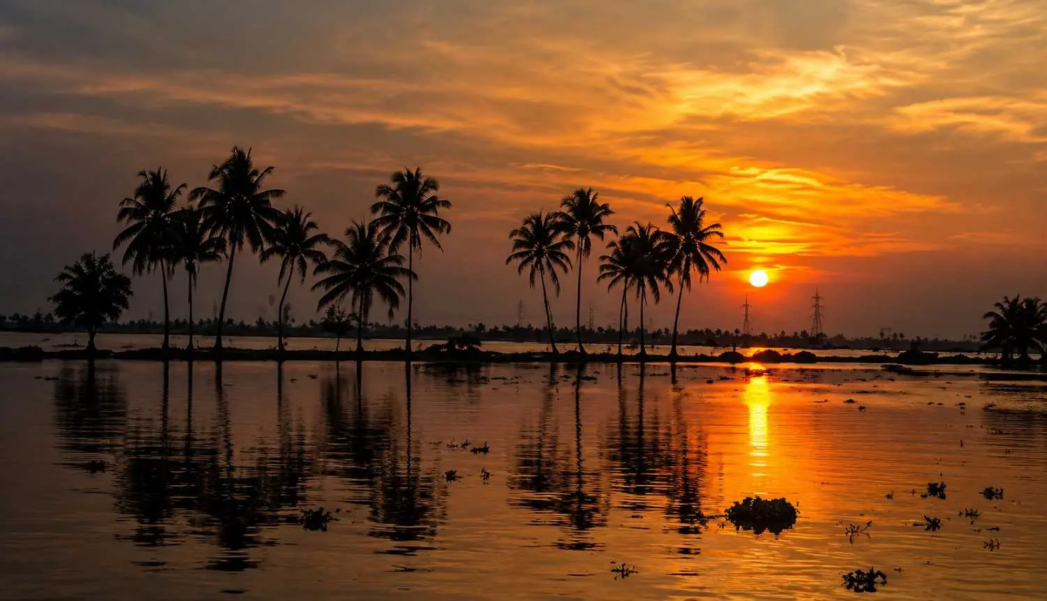 Ashtamudi Lake